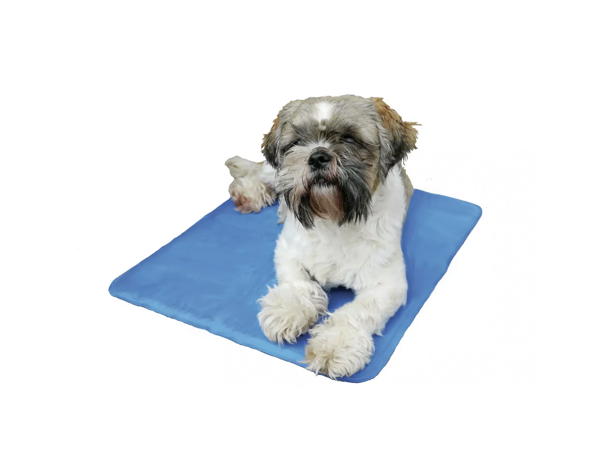 Pet cooling mats for dogs and cats shop for summer 2023 The Independent